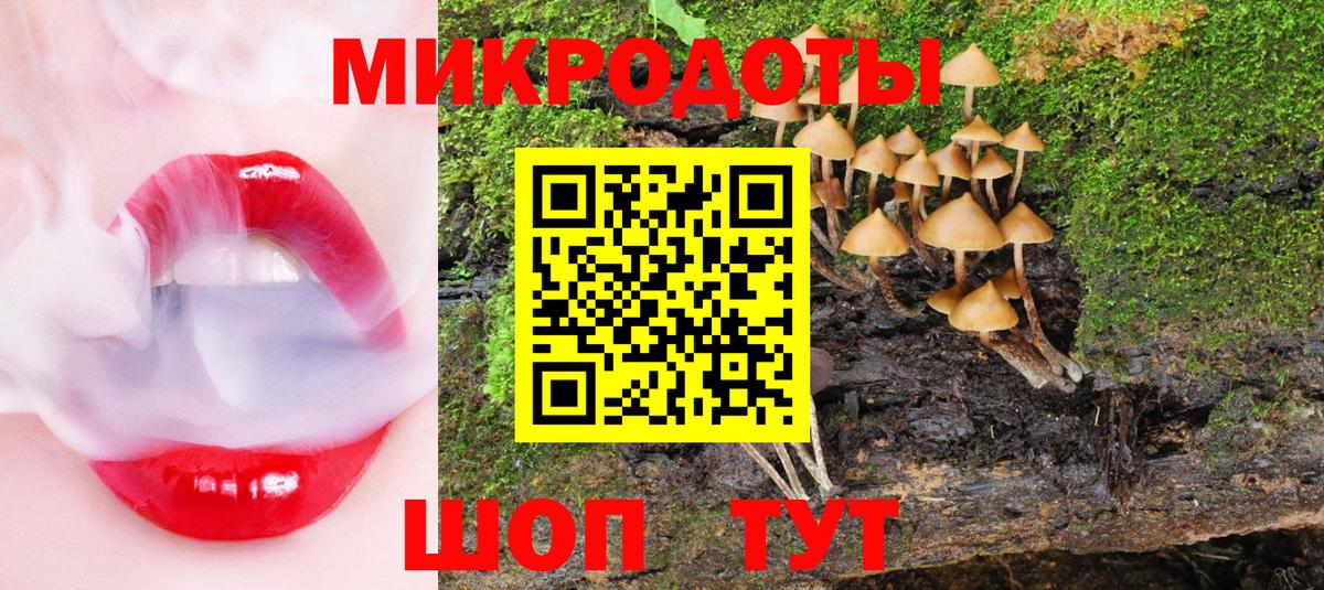 Галлюциногенные грибы Cubensis Ялуторовск