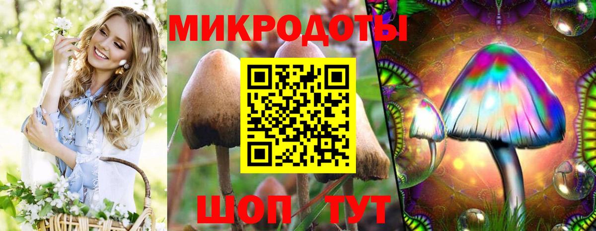 Псилоцибиновые грибы ЛСД  Псилоцибиновые грибы Cubensis  закладки  Ялуторовск  Вход с VPN 